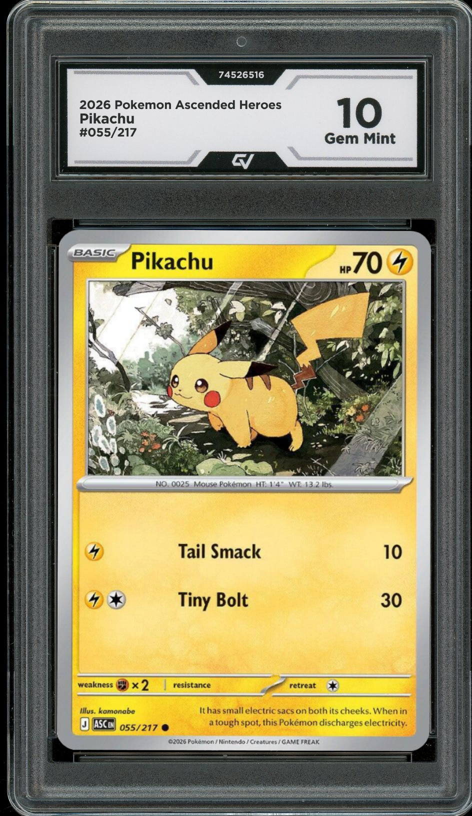 2026 Pokemon Ascended Heroes #055/217 Pikachu Graded 10 Gem Mint